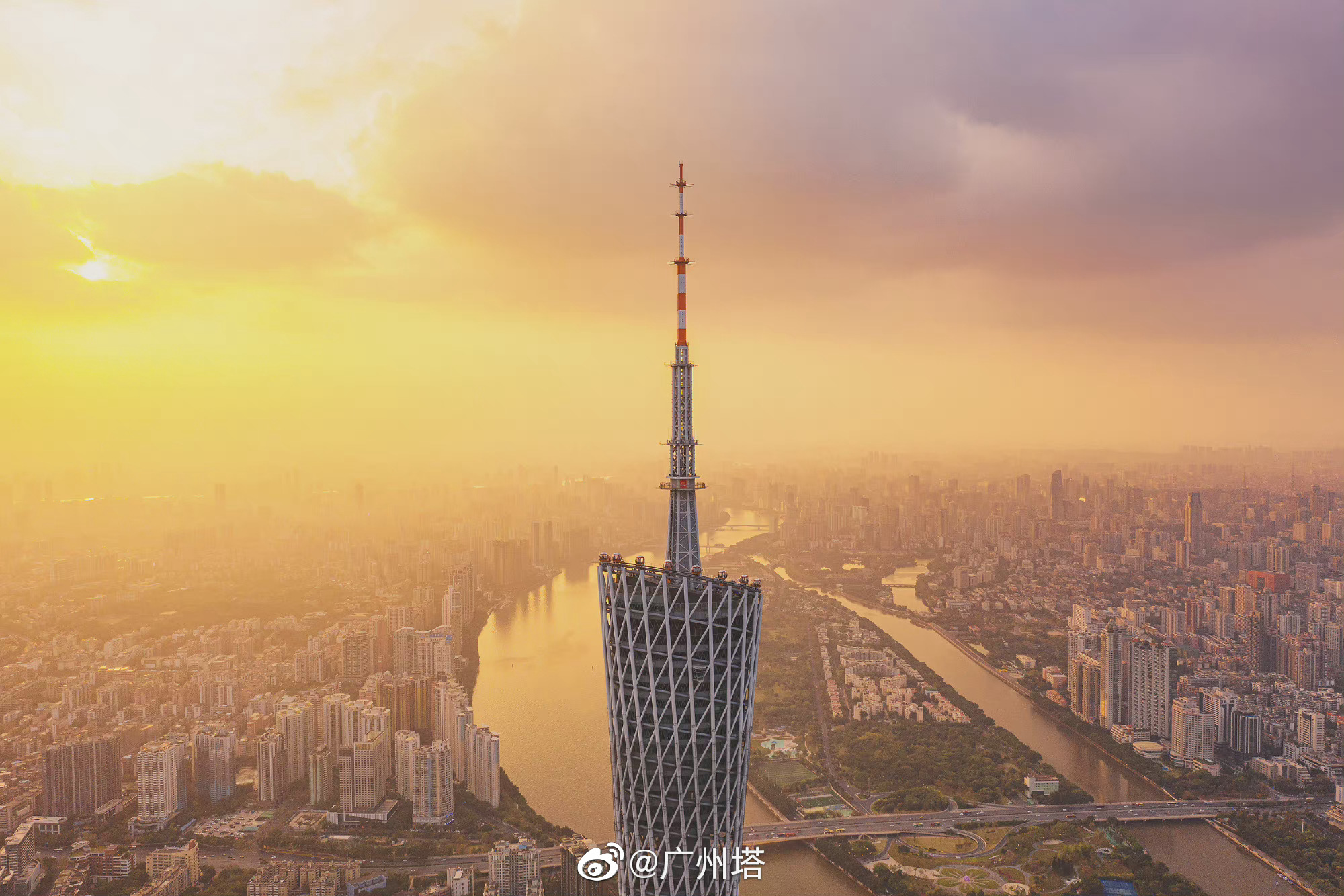 开好局，起好步：人才集团发挥龙头作用，服务人才强市