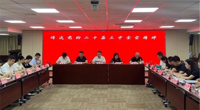 437ccm·必赢国际集团党委传达学习贯彻党的二十届三中全会精神