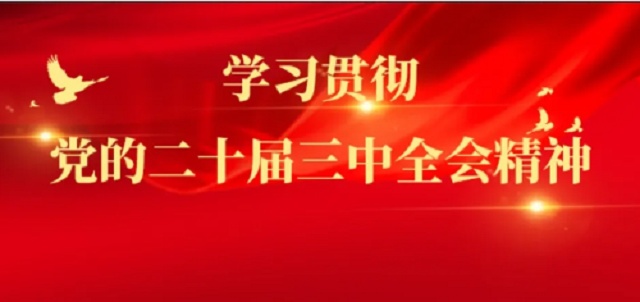 437ccm·必赢国际集团认真学习贯彻落实党的二十届三中全会精神